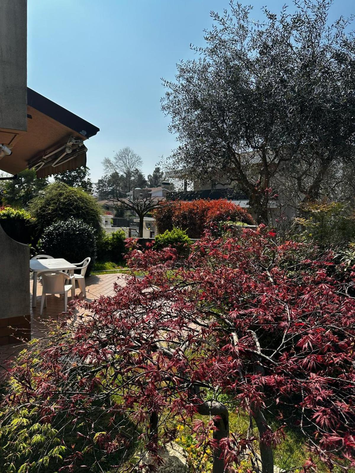 Villa Luisa Gorle エクステリア 写真