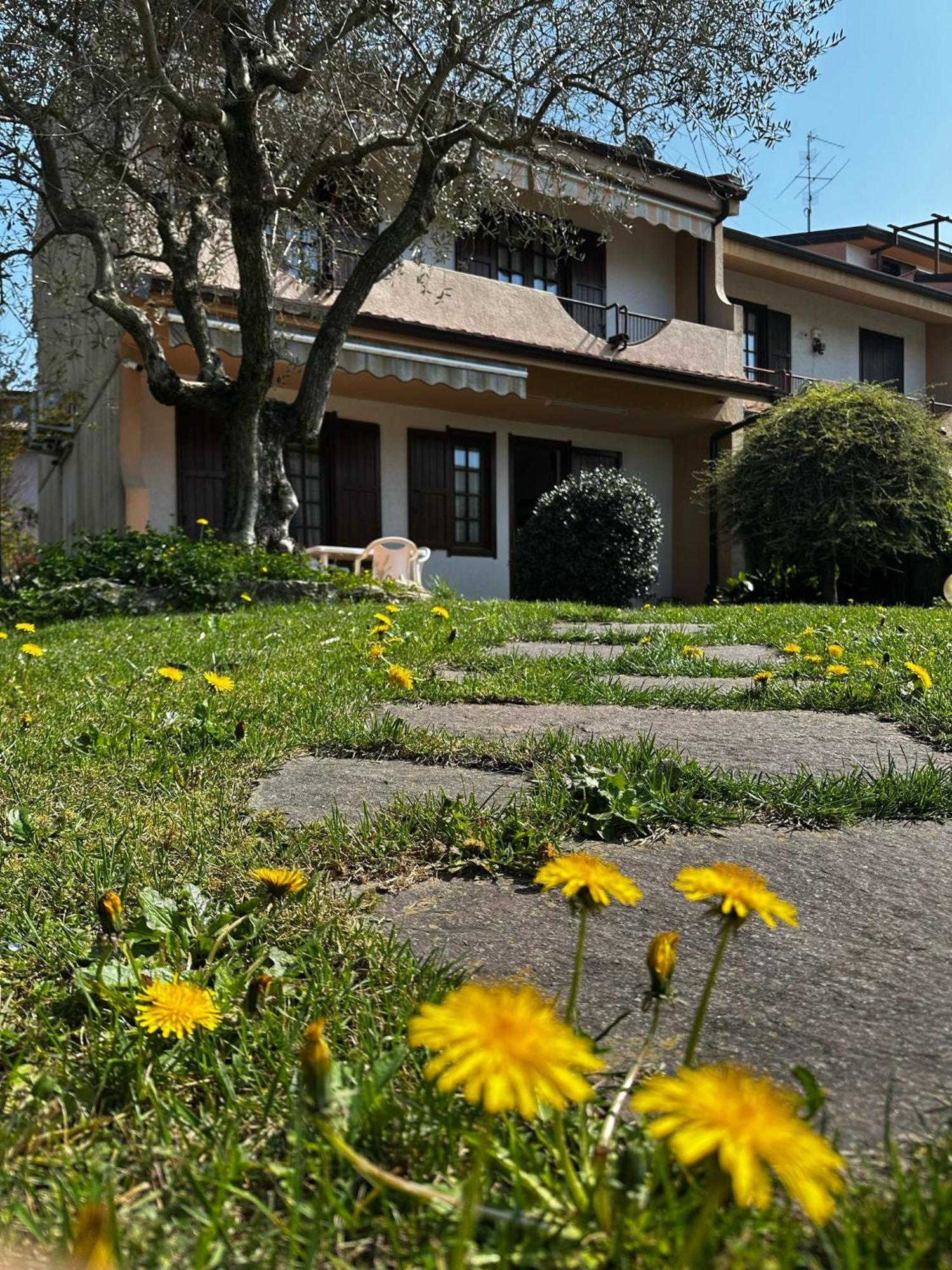 Villa Luisa Gorle エクステリア 写真